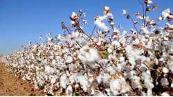 &Mu;&epsilon; &alpha;&pi;ό&phi;&alpha;&sigma;&eta; &Alpha;&upsilon;&gamma;&epsilon;&nu;ά&kappa;&eta; &sigma;&upsilon;&gamma;&kappa;&rho;&omicron;&tau;&epsilon;ί&tau;&alpha;&iota; &Omicron;&mu;ά&delta;&alpha; &Epsilon;&rho;&gamma;&alpha;&sigma;ί&alpha;&sigmaf; &gamma;&iota;&alpha; &tau;&omicron; &beta;&alpha;&mu;&beta;ά&kappa;&iota;