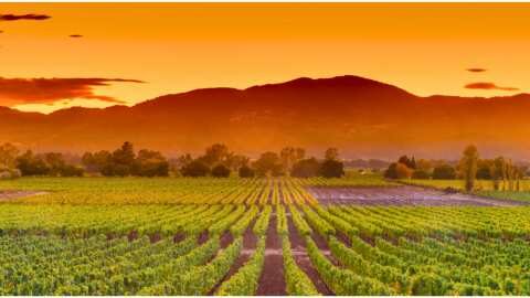 &Sigma;&upsilon;&gamma;&kappa;&omicron;&mu;&iota;&delta;ή 2025: &Mu;&iota;&alpha; &pi;&rho;ώ&tau;&eta; &mu;&alpha;&tau;&iota;ά &sigma;&tau;&iota;&sigmaf; &pi;&rho;&omicron;&omicron;&pi;&tau;&iota;&kappa;έ&sigmaf; &sigma;&upsilon;&gamma;&kappa;&omicron;&mu;&iota;&delta;ή&sigmaf; &sigma;&tau;&omicron; &nu;ό&tau;&iota;&omicron; &eta;&mu;&iota;&sigma;&phi;&alpha;ί&rho;&iota;&omicron;