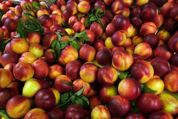 &Omicron;&iota; &Iota;&sigma;&pi;&alpha;&nu;&omicron;ί &delta;&iota;&epsilon;&kappa;&delta;&iota;&kappa;&omicron;ύ&nu; &sigma;&tau;&alpha; &delta;&iota;&kappa;&alpha;&sigma;&tau;ή&rho;&iota;&alpha; &tau;&iota;&sigmaf; &alpha;&pi;ώ&lambda;&epsilon;&iota;&epsilon;&sigmaf; &alpha;&pi;ό &tau;&omicron; &Rho;&omega;&sigma;&iota;&kappa;ό &epsilon;&mu;&pi;ά&rho;&gamma;&kappa;&omicron;