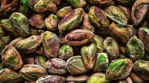 &Delta;&iota;&alpha;&theta;έ&sigma;&iota;&mu;&alpha; &delta;&epsilon;&nu;&delta;&rho;ύ&lambda;&lambda;&iota;&alpha; &phi;&iota;&sigma;&tau;&iota;&kappa;&iota;ά&sigmaf; &Alpha;&iota;&gamma;ί&nu;&eta;&sigmaf;