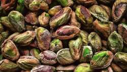 &Delta;&iota;&alpha;&theta;έ&sigma;&iota;&mu;&alpha; &delta;&epsilon;&nu;&delta;&rho;ύ&lambda;&lambda;&iota;&alpha; &phi;&iota;&sigma;&tau;&iota;&kappa;&iota;ά&sigmaf; &Alpha;&iota;&gamma;ί&nu;&eta;&sigmaf;