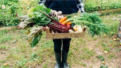 &Beta;&rho;&alpha;&beta;&epsilon;ί&alpha; &tau;&eta;&sigmaf; &Epsilon;&Epsilon; &gamma;&iota;&alpha; &tau;&alpha; &beta;&iota;&omicron;&lambda;&omicron;&gamma;&iota;&kappa;ά &pi;&rho;&omicron;ϊό&nu;&tau;&alpha; 2025: &Epsilon;ί&sigma;&alpha;&iota; &omicron; &epsilon;&pi;ό&mu;&epsilon;&nu;&omicron;&sigmaf; &nu;&iota;&kappa;&eta;&tau;ή&sigmaf;;