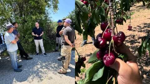 &Sigma;&upsilon;&nu;έ&chi;&epsilon;&iota;&alpha; &epsilon;&pi;&iota;&sigma;&kappa;έ&psi;&epsilon;&omega;&nu; &Lambda;ά&kappa;&eta; &Beta;&alpha;&sigma;&iota;&lambda;&epsilon;&iota;ά&delta;&eta; &sigma;&epsilon; &kappa;&tau;ή&mu;&alpha;&tau;&alpha; &tau;&eta;&sigmaf; &Kappa;&alpha;&rho;&upsilon;&delta;&iota;ά&sigmaf;, &Kappa;&epsilon;&rho;&alpha;&sigma;&iota;ά&sigmaf; &kappa;&alpha;&iota; &Kappa;&omicron;&rho;&upsilon;&phi;ή&sigmaf; &sigma;&tau;&omicron; &Nu;. &Pi;έ&lambda;&lambda;&alpha;&sigmaf;