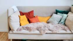 &Gamma;&omega;&nu;&iota;&alpha;&kappa;ό&sigmaf; &kappa;&alpha;&nu;&alpha;&pi;έ&sigmaf; - &Epsilon;&xi;&alpha;&iota;&rho;&epsilon;&tau;&iota;&kappa;ή &epsilon;&pi;&iota;&lambda;&omicron;&gamma;ή &gamma;&iota;&alpha; &tau;&omicron; &sigma;&alpha;&lambda;ό&nu;&iota; &sigma;&alpha;&sigmaf;