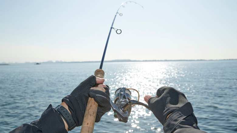 &Alpha;&pi;&alpha;&gamma;ό&rho;&epsilon;&upsilon;&sigma;&eta; &Alpha;&lambda;&iota;&epsilon;ί&alpha;&sigmaf; &sigma;&tau;&alpha; &epsilon;&sigma;&omega;&tau;&epsilon;&rho;&iota;&kappa;ά ύ&delta;&alpha;&tau;&alpha; &tau;&eta;&sigmaf; &Pi;.&Epsilon;. &Eta;&mu;&alpha;&theta;ί&alpha;&sigmaf; &gamma;&iota;&alpha; &tau;&omicron; Έ&tau;&omicron;&sigmaf; 2026