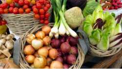 &Pi;&omicron;&iota;&epsilon;&sigmaf; &tau;&rho;&omicron;&phi;έ&sigmaf; &mu;&epsilon;&iota;ώ&nu;&omicron;&upsilon;&nu; &tau;&omicron; ά&gamma;&chi;&omicron;&sigmaf; - &Tau;&iota; &delta;&epsilon;ί&chi;&nu;&epsilon;&iota; &nu;έ&alpha; &mu;&epsilon;&lambda;έ&tau;&eta;