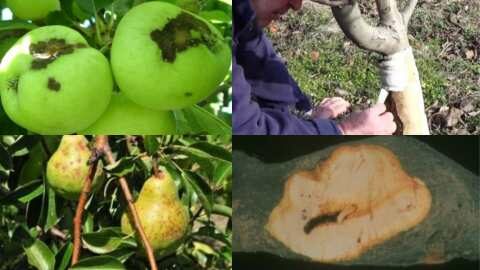 &Gamma;&epsilon;&omega;&rho;&gamma;&iota;&kappa;έ&sigmaf; &pi;&rho;&omicron;&epsilon;&iota;&delta;&omicron;&pi;&omicron;&iota;ή&sigma;&epsilon;&iota;&sigmaf; &gamma;&iota;&alpha; &tau;&alpha; &Mu;&eta;&lambda;&omicron;&epsilon;&iota;&delta;ή