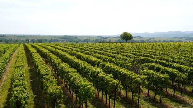 &laquo;&Alpha;&nu;&omicron;&iota;&chi;&tau;έ&sigmaf; &Pi;ό&rho;&tau;&epsilon;&sigmaf;&raquo; &sigma;&tau;&alpha; &omicron;&iota;&nu;&omicron;&pi;&omicron;&iota;&epsilon;ί&alpha; &tau;&eta;&sigmaf; &Epsilon;&lambda;&lambda;ά&delta;&alpha;&sigmaf; &Sigma;ά&beta;&beta;&alpha;&tau;&omicron; 18 &Mu;&alpha;ΐ&omicron;&upsilon; &kappa;&alpha;&iota; &Kappa;&upsilon;&rho;&iota;&alpha;&kappa;ή 19 &Mu;&alpha;ΐ&omicron;&upsilon; 2024