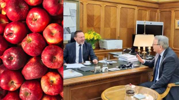 &Epsilon;&xi;&alpha;&gamma;&omega;&gamma;έ&sigmaf; &pi;&rho;&omicron;ϊό&nu;&tau;&omega;&nu; &sigma;&tau;&eta;&nu; &Alpha;ί&gamma;&upsilon;&pi;&tau;&omicron;: &Sigma;&upsilon;&nu;ά&nu;&tau;&eta;&sigma;&eta; &Kappa;&alpha;&rho;&alpha;&sigma;&mu;ά&nu;&eta; &mu;&epsilon; &tau;&omicron;&nu; &Delta;&iota;&omicron;&iota;&kappa;&eta;&tau;ή &tau;&eta;&sigmaf; &Tau;&rho;ά&pi;&epsilon;&zeta;&alpha;&sigmaf; &Epsilon;&lambda;&lambda;ά&delta;&omicron;&sigmaf; &gamma;&iota;&alpha; &tau;&alpha; &pi;&rho;&omicron;&beta;&lambda;ή&mu;&alpha;&tau;&alpha; &pi;&omicron;&upsilon; &pi;&rho;&omicron;έ&kappa;&upsilon;&psi;&alpha;&nu;