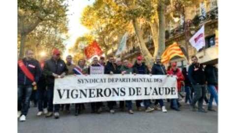 &Kappa;&Epsilon;&Omicron;&Sigma;&Omicron;&Epsilon;: &Delta;&iota;&alpha;&delta;ή&lambda;&omega;&sigma;&eta; &Gamma;ά&lambda;&lambda;&omega;&nu; &alpha;&mu;&pi;&epsilon;&lambda;&omicron;&upsilon;&rho;&gamma;ώ&nu; &sigma;&tau;&eta;&nu; Carcassonne &kappa;&alpha;&lambda;&omicron;ύ&nu; &tau;&omicron;&nu; &upsilon;&pi;&omicron;&upsilon;&rho;&gamma;ό &sigma;&epsilon; &beta;&omicron;ή&theta;&epsilon;&iota;&alpha; | &Alpha;&gamma;&rho;&omicron;&tau;&iota;&kappa;ά &nu;έ&alpha; &kappa;&alpha;&iota; &epsilon;&iota;&delta;ή&sigma;&epsilon;&iota;&sigmaf; imathiotikigi.gr