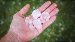 &Eta;&mu;&alpha;&theta;ί&alpha;: &Alpha;&nu;&alpha;&kappa;&omicron;ί&nu;&omega;&sigma;&eta; &gamma;&iota;&alpha; &upsilon;&pi;&omicron;&beta;&omicron;&lambda;ή &delta;&eta;&lambda;ώ&sigma;&epsilon;&omega;&nu; &zeta;&eta;&mu;&iota;ά&sigmaf; &alpha;&pi;ό &tau;&omicron; &chi;&alpha;&lambda;ά&zeta;&iota; &tau;&eta;&sigmaf; 20/8/24 &sigma;&tau;&omicron; &Mu;&alpha;&kappa;&rho;&omicron;&chi;ώ&rho;&iota;