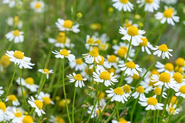 &Omicron; &phi;&upsilon;&sigma;&iota;&kappa;ό&sigmaf; &pi;&lambda;&omicron;ύ&tau;&omicron;&sigmaf; &pi;&omicron;&upsilon; &gamma;ί&nu;&epsilon;&tau;&alpha;&iota; &alpha;&lambda;&eta;&theta;&iota;&nu;ό &chi;&rho;&upsilon;&sigma;ά&phi;&iota; &sigma;&tau;&alpha; &chi;έ&rho;&iota;&alpha; &tau;&omega;&nu; &gamma;&epsilon;&omega;&rho;&gamma;ώ&nu;