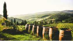 &Kappa;&Epsilon;&Omicron;&Sigma;&Omicron;&Epsilon;: &Alpha;&nu;&alpha;&kappa;ό&pi;&eta;&kappa;&epsilon; &tau;&omicron; 2023, &eta; &epsilon;&gamma;&kappa;&alpha;&tau;ά&lambda;&epsilon;&iota;&psi;&eta; &alpha;&mu;&pi;&epsilon;&lambda;ώ&nu;&omega;&nu; &pi;&omicron;&upsilon; ό&mu;&omega;&sigmaf; &pi;&alpha;&rho;&alpha;&mu;έ&nu;&epsilon;&iota; &sigma;&epsilon; &upsilon;&psi;&eta;&lambda;ά &epsilon;&pi;ί&pi;&epsilon;&delta;&alpha; &sigma;&epsilon; &sigma;ύ&gamma;&kappa;&rho;&iota;&sigma;&eta; &mu;&epsilon; &tau;&omicron; 2016