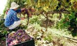&Epsilon;&nu;&tau;ά&sigma;&sigma;&omicron;&nu;&tau;&alpha;&iota; &tau;&epsilon;&lambda;&iota;&kappa;ά ό&lambda;&omicron;&iota; &omicron;&iota; &epsilon;&pi;&iota;&lambda;έ&xi;&iota;&mu;&omicron;&iota; &upsilon;&pi;&omicron;&psi;ή&phi;&iota;&omicron;&iota; &tau;&omicron;&upsilon; &pi;&rho;&omicron;&gamma;&rho;ά&mu;&mu;&alpha;&tau;&omicron;&sigmaf; &alpha;&nu;&alpha;&delta;&iota;ά&rho;&theta;&rho;&omega;&sigma;&eta;&sigmaf; &kappa;&alpha;&iota; &mu;&epsilon;&tau;&alpha;&tau;&rho;&omicron;&pi;ή&sigmaf; &alpha;&mu;&pi;&epsilon;&lambda;ώ&nu;&omega;&nu;