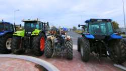 &Pi;&alpha;&nu;&theta;&epsilon;&sigma;&sigma;&alpha;&lambda;&iota;&kappa;ή &sigma;ύ&sigma;&kappa;&epsilon;&psi;&eta; &alpha;&gamma;&rho;&omicron;&tau;&omicron;&kappa;&tau;&eta;&nu;&omicron;&tau;&rho;ό&phi;&omega;&nu; &tau;&eta;&nu; &Pi;έ&mu;&pi;&tau;&eta; &sigma;&tau;&omicron;&nu; &Pi;&alpha;&lambda;&alpha;&mu;ά