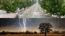 Έ&rho;&chi;&omicron;&nu;&tau;&alpha;&iota; &epsilon;&pi;&iota;&kappa;ί&nu;&delta;&upsilon;&nu;&alpha; &mu;&pi;&omicron;&upsilon;&rho;ί&nu;&iota;&alpha; &kappa;&alpha;&iota; &kappa;&alpha;&tau;&alpha;&iota;&gamma;ί&delta;&epsilon;&sigmaf; - &Kappa;ί&nu;&delta;&upsilon;&nu;&omicron;&sigmaf; &gamma;&iota;&alpha; &chi;&alpha;&lambda;ά&zeta;&iota; - &Pi;&omicron;&iota;&epsilon;&sigmaf; &pi;&epsilon;&rho;&iota;&omicron;&chi;έ&sigmaf; &theta;&alpha; &epsilon;&pi;&eta;&rho;&epsilon;&alpha;&sigma;&tau;&omicron;ύ&nu;