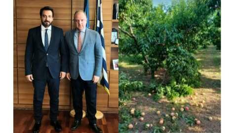 &Delta;. &Sigma;&tau;&alpha;&mu;&epsilon;&nu;ί&tau;&eta;&sigmaf; &sigma;&epsilon; &Tau;. &Mu;&pi;&alpha;&rho;&tau;&zeta;ώ&kappa;&alpha;: Ά&mu;&epsilon;&sigma;&alpha; &omicron;&iota; &alpha;&pi;&omicron;&zeta;&eta;&mu;&iota;ώ&sigma;&epsilon;&iota;&sigmaf; &sigma;&tau;&omicron;&upsilon;&sigmaf; &alpha;&gamma;&rho;ό&tau;&epsilon;&sigmaf; &tau;&eta;&sigmaf; &Eta;&mu;&alpha;&theta;ί&alpha;&sigmaf; &gamma;&iota;&alpha; &zeta;&eta;&mu;&iota;έ&sigmaf; &alpha;&pi;ό &tau;&eta;&nu; &alpha;&nu;&epsilon;&mu;&omicron;&theta;ύ&epsilon;&lambda;&lambda;&alpha; &tau;&omicron;&upsilon; &Iota;&omicron;&upsilon;&nu;ί&omicron;&upsilon; 2024
