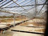 &Pi;&omega;&lambda;&epsilon;ί&tau;&alpha;&iota; &theta;&epsilon;&rho;&mu;&omicron;&kappa;ή&pi;&iota;&omicron; 1200 &tau;.&mu;. &sigma;&tau;&eta; &Nu;έ&alpha; &Kappa;&alpha;&lambda;&lambda;&iota;&kappa;&rho;ά&tau;&epsilon;&iota;&alpha; &Chi;&alpha;&lambda;&kappa;&iota;&delta;&iota;&kappa;ή&sigmaf;