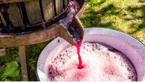 20 &epsilon;&kappa;&alpha;&tau;. &epsilon;&upsilon;&rho;ώ &gamma;&iota;&alpha; &alpha;&pi;ό&sigma;&tau;&alpha;&xi;&eta; &kappa;&rho;ί&sigma;&eta;&sigmaf; &pi;&omicron;&rho;&tau;&omicron;&gamma;&alpha;&lambda;&iota;&kappa;ώ&nu; &kappa;&rho;&alpha;&sigma;&iota;ώ&nu;