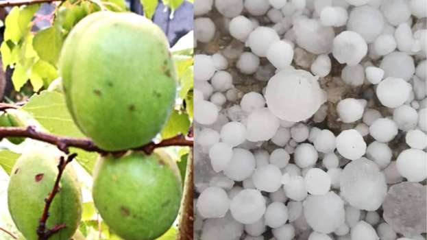 &Nu;έ&alpha; &chi;&alpha;&lambda;&alpha;&zeta;ό&pi;&tau;&omega;&sigma;&eta; &pi;&rho;&omicron;&kappa;ά&lambda;&epsilon;&sigma;&epsilon; &mu;&epsilon;&gamma;ά&lambda;&epsilon;&sigmaf; &zeta;&eta;&mu;&iota;έ&sigmaf; &sigma;&epsilon; &kappa;&alpha;&lambda;&lambda;&iota;έ&rho;&gamma;&epsilon;&iota;&epsilon;&sigmaf; &pi;&epsilon;&rho;&iota;&omicron;&chi;ώ&nu; &tau;&eta;&sigmaf; &Eta;&mu;&alpha;&theta;ί&alpha;&sigmaf; &kappa;&alpha;&iota; &Theta;&epsilon;&sigma;&sigma;&alpha;&lambda;ί&alpha;&sigmaf;