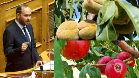 &Alpha;&sigma;&theta;έ&nu;&epsilon;&iota;&alpha; &sigma;&tau;&alpha; &rho;&omicron;&delta;ά&kappa;&iota;&nu;&alpha;, &beta;&rho;&omicron;&chi;&omicron;&pi;&tau;ώ&sigma;&epsilon;&iota;&sigmaf;, &alpha;&kappa;&alpha;&rho;&pi;ί&epsilon;&sigmaf;: Ό&sigma;&alpha; &alpha;&nu;έ&phi;&epsilon;&rho;&epsilon; &sigma;&tau;&eta; &beta;&omicron;&upsilon;&lambda;ή &omicron; &Lambda;ά&kappa;&eta;&sigmaf; &Beta;&alpha;&sigma;&iota;&lambda;&epsilon;&iota;ά&delta;&eta;&sigmaf; &gamma;&iota;&alpha; &tau;&iota;&sigmaf; &epsilon;&pi;&iota;&pi;&tau;ώ&sigma;&epsilon;&iota;&sigmaf; &tau;&eta;&sigmaf; &kappa;&lambda;&iota;&mu;&alpha;&tau;&iota;&kappa;ή&sigmaf; &kappa;&rho;ί&sigma;&eta;&sigmaf;