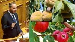 &Alpha;&sigma;&theta;έ&nu;&epsilon;&iota;&alpha; &sigma;&tau;&alpha; &rho;&omicron;&delta;ά&kappa;&iota;&nu;&alpha;, &beta;&rho;&omicron;&chi;&omicron;&pi;&tau;ώ&sigma;&epsilon;&iota;&sigmaf;, &alpha;&kappa;&alpha;&rho;&pi;ί&epsilon;&sigmaf;: Ό&sigma;&alpha; &alpha;&nu;έ&phi;&epsilon;&rho;&epsilon; &sigma;&tau;&eta; &beta;&omicron;&upsilon;&lambda;ή &omicron; &Lambda;ά&kappa;&eta;&sigmaf; &Beta;&alpha;&sigma;&iota;&lambda;&epsilon;&iota;ά&delta;&eta;&sigmaf; &gamma;&iota;&alpha; &tau;&iota;&sigmaf; &epsilon;&pi;&iota;&pi;&tau;ώ&sigma;&epsilon;&iota;&sigmaf; &tau;&eta;&sigmaf; &kappa;&lambda;&iota;&mu;&alpha;&tau;&iota;&kappa;ή&sigmaf; &kappa;&rho;ί&sigma;&eta;&sigmaf;