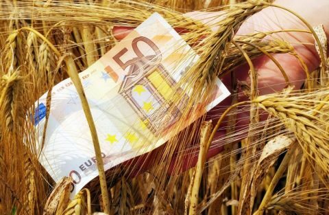 &Pi;ί&sigma;&tau;&omega;&sigma;&eta; &epsilon;&nu;&iota;&sigma;&chi;ύ&sigma;&epsilon;&omega;&nu; &sigma;&epsilon; &delta;&iota;&kappa;&alpha;&iota;&omicron;ύ&chi;&omicron;&upsilon;&sigmaf; &gamma;&iota;&alpha; &beta;&iota;&omicron;&lambda;&omicron;&gamma;&iota;&kappa;έ&sigmaf; &delta;&rho;ά&sigma;&epsilon;&iota;&sigmaf;  &zeta;&omega;&iota;&kappa;ή&sigmaf; &pi;&alpha;&rho;&alpha;&gamma;&omega;&gamma;ή&sigmaf;