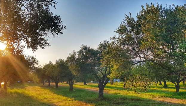 &Gamma;&epsilon;&omega;&rho;&gamma;&iota;&kappa;έ&sigmaf; &pi;&rho;&omicron;&epsilon;&iota;&delta;&omicron;&pi;&omicron;&iota;ή&sigma;&epsilon;&iota;&sigmaf; &gamma;&iota;&alpha; &tau;&eta;&nu; &Epsilon;&lambda;&iota;ά