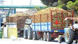 &Epsilon;&rho;ώ&tau;&eta;&sigma;&eta; &Theta;. &Tau;&zeta;ά&kappa;&rho;&eta; &gamma;&iota;&alpha; &tau;&eta;&nu; &Epsilon;&lambda;&lambda;&eta;&nu;&iota;&kappa;ή &Beta;&iota;&omicron;&mu;&eta;&chi;&alpha;&nu;ί&alpha; &Zeta;ά&chi;&alpha;&rho;&eta;&sigmaf;