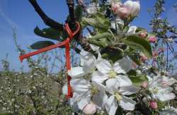 Έ&omega;&sigmaf; &kappa;&alpha;&iota; &tau;&eta;&nu; &Pi;&alpha;&rho;&alpha;&sigma;&kappa;&epsilon;&upsilon;ή &eta; &upsilon;&pi;&omicron;&beta;&omicron;&lambda;ή &pi;&alpha;&rho;&alpha;&sigma;&tau;&alpha;&tau;&iota;&kappa;ώ&nu; &gamma;&iota;&alpha; &tau;&omicron; "&Kappa;&omicron;&mu;&phi;&omicron;ύ&zeta;&iota;&omicron;"