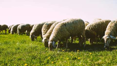 &Upsilon;&Pi;&Alpha;&Alpha;&Tau;: &Sigma;&tau;&alpha; 17 &tau;&alpha; &epsilon;&pi;&iota;&beta;&epsilon;&beta;&alpha;&iota;&omega;&mu;έ&nu;&alpha; &kappa;&rho;&omicron;ύ&sigma;&mu;&alpha;&tau;&alpha; &alpha;&phi;&theta;ώ&delta;&omicron;&upsilon;&sigmaf; &pi;&upsilon;&rho;&epsilon;&tau;&omicron;ύ &sigma;&tau;&eta; &Lambda;έ&sigma;&beta;&omicron; &ndash; &Epsilon;&pi;&iota;&beta;&epsilon;&beta;&alpha;&iota;ώ&theta;&eta;&kappa;&alpha;&nu; 4 &nu;έ&alpha; &kappa;&rho;&omicron;ύ&sigma;&mu;&alpha;&tau;&alpha;