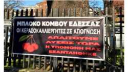 &Mu;&pi;&lambda;ό&kappa;&omicron; &Kappa;&epsilon;&rho;&alpha;&sigma;&omicron;&pi;&alpha;&rho;&alpha;&gamma;&omega;&gamma;ώ&nu; Έ&delta;&epsilon;&sigma;&sigma;&alpha;&sigmaf;: &Delta;&epsilon;&nu; &zeta;&eta;&tau;ά&mu;&epsilon; &chi;ά&rho;&eta; - &zeta;&eta;&tau;ά&mu;&epsilon; &delta;&iota;&kappa;&alpha;&iota;&omicron;&sigma;ύ&nu;&eta;, &delta;&iota;&alpha;&phi;ά&nu;&epsilon;&iota;&alpha; &kappa;&alpha;&iota; &sigma;&upsilon;&nu;έ&pi;&epsilon;&iota;&alpha;