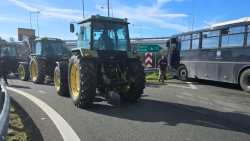 &Kappa;&alpha;&tau;&alpha;&gamma;&gamma;&epsilon;&lambda;ί&alpha; &Alpha;&Sigma; &Nu;ά&omicron;&upsilon;&sigma;&alpha;&sigmaf; "&Mu;&alpha;&rho;ί&nu;&omicron;&sigmaf; &Alpha;&nu;&tau;ύ&pi;&alpha;&sigmaf;" &gamma;&iota;&alpha; &tau;&eta;&nu; &epsilon;&pi;ί&theta;&epsilon;&sigma;&eta; &pi;&omicron;&upsilon; &delta;έ&chi;&tau;&eta;&kappa;&alpha;&nu; &omicron;&iota; &alpha;&gamma;&rho;ό&tau;&epsilon;&sigmaf; &sigma;&tau;&eta;&nu; &Epsilon;65 &alpha;&pi;ό &tau;&alpha; &Mu;&Alpha;&Tau;