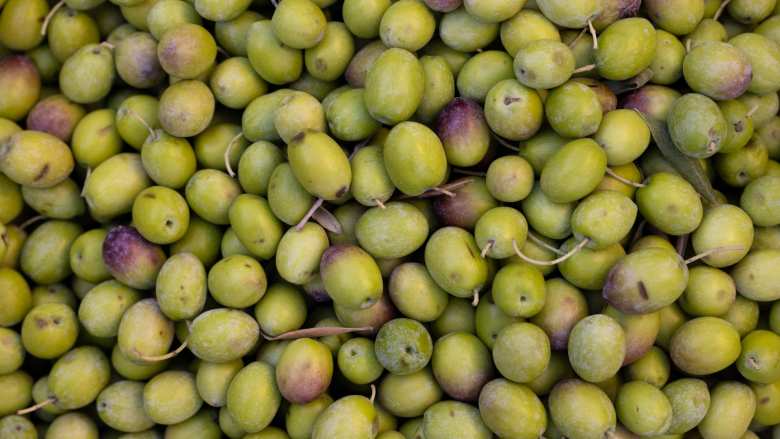 &Eta;&lambda;&epsilon;ί&alpha;: &Kappa;ά&tau;&omega; &alpha;&pi;ό 20.000 &tau;ό&nu;&omicron;&upsilon;&sigmaf; &eta; &phi;&epsilon;&tau;&iota;&nu;ή &epsilon;&lambda;&alpha;&iota;&omicron;&pi;&alpha;&rho;&alpha;&gamma;&omega;&gamma;ή