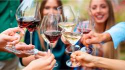 &Kappa;&rho;ί&sigma;&eta; &sigma;&tau;&omicron; &kappa;&rho;&alpha;&sigma;ί; Ό&chi;&iota; &sigma;&tau;&eta; &Chi;&iota;&lambda;ή! &Mu;&iota;&alpha; &sigma;&pi;ά&nu;&iota;&alpha; &sigma;&omicron;&delta;&epsilon;&iota;ά &tau;&omicron; 2025 &pi;&omicron;&upsilon; &epsilon;&nu;&iota;&sigma;&chi;ύ&epsilon;&iota; &tau;&iota;&sigmaf; &tau;&iota;&mu;έ&sigmaf; &kappa;&alpha;&iota; &tau;&iota;&sigmaf; &phi;&iota;&lambda;&omicron;&delta;&omicron;&xi;ί&epsilon;&sigmaf;, &mu;&epsilon;&tau;ά &tau;&iota;&sigmaf; &epsilon;&kappa;&rho;&iota;&zeta;ώ&sigma;&epsilon;&iota;&sigmaf;