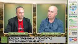 &Epsilon;&lambda;&lambda;&eta;&nu;&iota;&kappa;ή &Pi;&alpha;&rho;&alpha;&gamma;&omega;&gamma;ή Web-TV &mu;&epsilon; &alpha;&phi;&iota;έ&rho;&omega;&mu;&alpha; &sigma;&tau;&omicron; &beta;&alpha;&mu;&beta;ά&kappa;&iota; &kappa;&alpha;&iota; &kappa;&alpha;&lambda;&epsilon;&sigma;&mu;έ&nu;&omicron; &tau;&omicron;&nu; &Sigma;&tau;έ&phi;&alpha;&nu;&omicron; &Nu;&tau;&alpha;&omicron;ύ&kappa;&alpha;