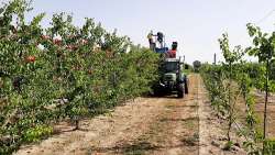 &Mu;&eta;&chi;&alpha;&nu;&iota;&kappa;ή &sigma;&upsilon;&gamma;&kappa;&omicron;&mu;&iota;&delta;ή, &nu;έ&epsilon;&sigmaf; &delta;&omicron;&kappa;&iota;&mu;έ&sigmaf; &sigma;&epsilon; &beta;&epsilon;&rho;ί&kappa;&omicron;&kappa;&alpha;