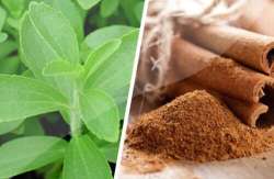 &Omicron;&kappa;&tau;ώ &theta;&alpha;&upsilon;&mu;&alpha;&tau;&omicron;&upsilon;&rho;&gamma;ά &beta;ό&tau;&alpha;&nu;&alpha; &gamma;&iota;&alpha; &tau;&eta; &mu;&epsilon;ί&omega;&sigma;&eta; &tau;&omicron;&upsilon; &sigma;&alpha;&kappa;&chi;ά&rho;&omicron;&upsilon;