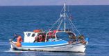&Tau;&rho;&alpha;&upsilon;&mu;&alpha;&tau;&iota;&sigma;&mu;ό&sigmaf; &pi;έ&nu;&tau;&epsilon; &alpha;&lambda;&iota;έ&omega;&nu; &mu;&epsilon;&tau;ά &alpha;&pi;ό &pi;&rho;&omicron;&sigma;ά&rho;&alpha;&xi;&eta; &alpha;&lambda;&iota;&epsilon;&upsilon;&tau;&iota;&kappa;&omicron;ύ &sigma;&kappa;ά&phi;&omicron;&upsilon;&sigmaf; &sigma;&epsilon; &nu;&eta;&sigma;ί&delta;&alpha; &sigma;&tau;&eta;&nu; &Kappa;ά&lambda;&upsilon;&mu;&nu;&omicron;