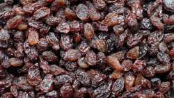 &Pi;&alpha;&rho;ά&tau;&alpha;&sigma;&eta; έ&omega;&sigmaf; 10 &Iota;&alpha;&nu;&omicron;&upsilon;&alpha;&rho;ί&omicron;&upsilon; &gamma;&iota;&alpha; &tau;&eta;&nu; &pi;&alpha;&rho;ά&delta;&omicron;&sigma;&eta; &tau;&eta;&sigmaf; &kappa;&omicron;&rho;&iota;&nu;&theta;&iota;&alpha;&kappa;ή&sigmaf; &sigma;&tau;&alpha;&phi;ί&delta;&alpha;&sigmaf;