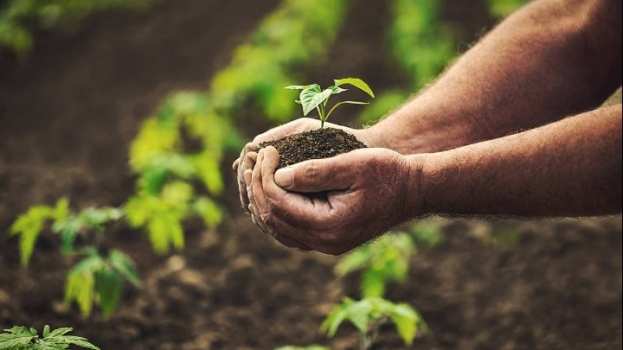 &Tau;&omicron; &epsilon;&lambda;&lambda;&eta;&nu;&iota;&kappa;ό &pi;&rho;ό&gamma;&rho;&alpha;&mu;&mu;&alpha; 31 &epsilon;&kappa;&alpha;&tau;. &epsilon;&upsilon;&rho;ώ &gamma;&iota;&alpha; &tau;&eta; &sigma;&tau;ή&rho;&iota;&xi;&eta; &tau;&omega;&nu; &alpha;&gamma;&rho;&omicron;&tau;&iota;&kappa;ώ&nu; &pi;&alpha;&rho;&alpha;&gamma;&omega;&gamma;ώ&nu;, &epsilon;&nu;έ&kappa;&rho;&iota;&nu;&epsilon; &eta; &Kappa;&omicron;&mu;&iota;&sigma;&iota;ό&nu;