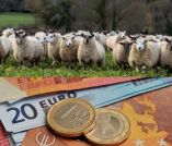 &Alpha;&nu;&alpha;&kappa;&omicron;ί&nu;&omega;&sigma;&eta; &Omicron;&Pi;&Epsilon;&Kappa;&Epsilon;&Pi;&Epsilon; &gamma;&iota;&alpha; &tau;&eta;&nu; &kappa;&alpha;&tau;&alpha;&beta;&omicron;&lambda;ή &tau;&eta;&sigmaf; &sigma;&upsilon;&nu;&delta;&epsilon;&delta;&epsilon;&mu;έ&nu;&eta;&sigmaf; &epsilon;&nu;ί&sigma;&chi;&upsilon;&sigma;&eta;&sigmaf; &sigma;&tau;&omicron;&nu; &alpha;&iota;&gamma;&omicron;&pi;&rho;&omicron;&beta;&alpha;&tau;&omicron;&tau;&rho;&omicron;&phi;&iota;&kappa;ό &tau;&omicron;&mu;έ&alpha;