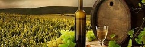 &Epsilon;&kappa;&tau;ί&mu;&eta;&sigma;&eta; &gamma;&iota;&alpha; &mu;&epsilon;&iota;&omega;&mu;έ&nu;&eta; &pi;&alpha;&rho;&alpha;&gamma;&omega;&gamma;ή &omicron;ί&nu;&omega;&nu; &sigma;&tau;&eta;&nu; &Iota;&tau;&alpha;&lambda;ί&alpha; &kappa;&alpha;&tau;ά 10%