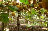 &Eta;&mu;&epsilon;&rho;ί&delta;&alpha; &gamma;&iota;&alpha; &tau;&omicron; &alpha;&kappa;&tau;&iota;&nu;ί&delta;&iota;&omicron; &sigma;&tau;&omicron;&nu; &Pi;&upsilon;&rho;&gamma;&epsilon;&tau;ό &Lambda;ά&rho;&iota;&sigma;&alpha;&sigmaf;