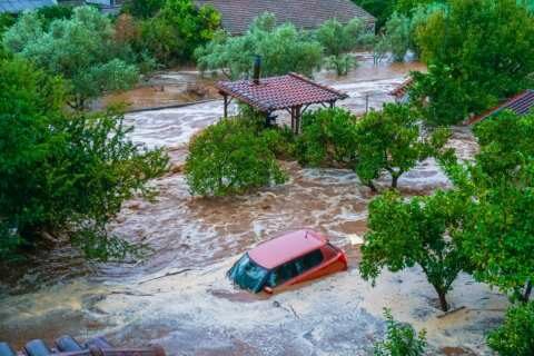 &Sigma;ή&mu;&epsilon;&rho;&alpha; &epsilon;&pi;ί &pi;&lambda;έ&omicron;&nu; &pi;&rho;&omicron;&kappa;&alpha;&tau;&alpha;&beta;&omicron;&lambda;έ&sigmaf; 26,2 &epsilon;&kappa;&alpha;&tau;. &epsilon;&upsilon;&rho;ώ &sigma;&tau;&omicron;&upsilon;&sigmaf; &pi;&lambda;&eta;&gamma;έ&nu;&tau;&epsilon;&sigmaf; &alpha;&pi;ό Daniel &kappa;&alpha;&iota; Elias