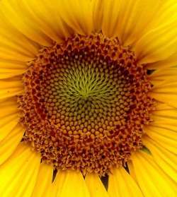 Nέ&omicron; &alpha;&nu;&alpha;&kappa;&upsilon;&kappa;&lambda;ώ&sigma;&iota;&mu;&omicron; &chi;&alpha;&rho;&tau;ί &mu;&epsilon; &beta;ά&sigma;&eta; &tau;&eta; &gamma;ύ&rho;&eta; &eta;&lambda;ί&alpha;&nu;&theta;&omicron;&upsilon;