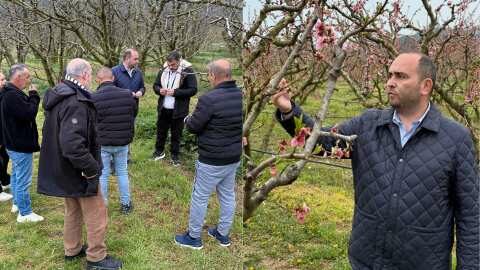 &Lambda;ά&kappa;&eta;&sigmaf; &Beta;&alpha;&sigma;&iota;&lambda;&epsilon;&iota;ά&delta;&eta;&sigmaf; &gamma;&iota;&alpha; &tau;&iota;&sigmaf; &zeta;&eta;&mu;&iota;έ&sigmaf; &alpha;&pi;ό &tau;&omicron;&nu; &pi;&alpha;&gamma;&epsilon;&tau;ό: &laquo;&Kappa;&alpha;&mu;ί&alpha; &Kappa;&alpha;&lambda;&lambda;&iota;έ&rho;&gamma;&epsilon;&iota;&alpha; &pi;&omicron;&upsilon; &epsilon;&pi;&lambda;ή&gamma;&eta; &delta;&epsilon;&nu; &pi;&rho;έ&pi;&epsilon;&iota; &nu;&alpha; &mu;&epsilon;ί&nu;&epsilon;&iota; &epsilon;&kappa;&tau;ό&sigmaf; &alpha;&pi;&omicron;&zeta;&eta;&mu;ί&omega;&sigma;&eta;&sigmaf;&raquo;