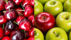 &Gamma;&epsilon;&omega;&rho;&gamma;&iota;&kappa;έ&sigmaf; &pi;&rho;&omicron;&epsilon;&iota;&delta;&omicron;&pi;&omicron;&iota;ή&sigma;&epsilon;&iota;&sigmaf; &gamma;&iota;&alpha; &tau;&alpha; &kappa;&epsilon;&rho;ά&sigma;&iota;&alpha; &kappa;&alpha;&iota; &tau;&alpha; &mu;ή&lambda;&alpha;