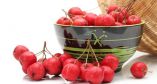 &Omicron;&iota; &theta;&epsilon;&rho;&alpha;&pi;&epsilon;&upsilon;&tau;&iota;&kappa;έ&sigmaf; &iota;&delta;&iota;ό&tau;&eta;&tau;&epsilon;&sigmaf; &tau;&omicron;&upsilon; &kappa;&rho;ά&tau;&alpha;&iota;&gamma;&omicron;&upsilon; &kappa;&alpha;&iota; &pi;ώ&sigmaf; &nu;&alpha; &tau;&omicron;&nu; &chi;&rho;&eta;&sigma;&iota;&mu;&omicron;&pi;&omicron;&iota;ή&sigma;&epsilon;&tau;&epsilon;