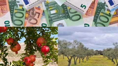 &Epsilon;&Lambda;&Gamma;&Alpha;: &Pi;&lambda;&eta;&rho;&omega;&mu;ή &Kappa;&Omicron;&Epsilon; &gamma;&iota;&alpha; &tau;&omicron; &pi;&rho;ό&gamma;&rho;&alpha;&mu;&mu;&alpha; &laquo;&Epsilon;&tau;ή&sigma;&iota;&omicron; 2021&raquo; - &Alpha;&phi;&omicron;&rho;ά &zeta;&eta;&mu;&iota;έ&sigmaf; &alpha;&pi;ό &pi;&alpha;&gamma;&epsilon;&tau;ό &sigma;&epsilon; &epsilon;&lambda;&iota;έ&sigmaf; &kappa;&alpha;&iota; &rho;ό&delta;&iota;&alpha;